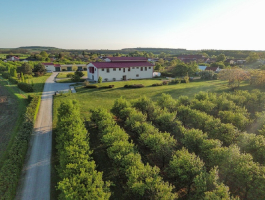 Gravitační vinařství Vilavin Dobré Pole