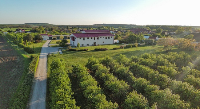 Gravitační vinařství Vilavin Dobré Pole